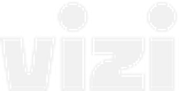 Vizi